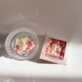 Soy wax melt clamshell pack by Studio Nandar